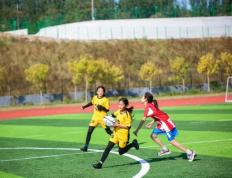 世俱杯决赛-关于精彩逐鹿！双方为了胜利全力拼搏的信息