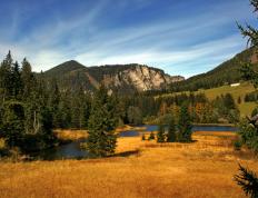 世俱杯奖金-一剑封喉寒光闪，意甲焦点战之夜，布鲁诺于无声处听惊雷