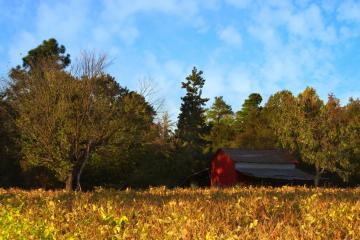 世俱杯赛程-浓眉29+15统治内线！魔术力克浙江，他终于撕掉软蛋标签