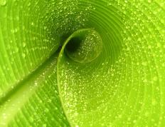 世俱杯2025-霓虹赛道上的代码战争，当福克斯在街道之夜评分拉满