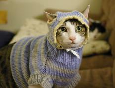 世俱杯时间-拉梅洛魔法席卷全球，独行侠强势晋级映照新疆队坚韧之路