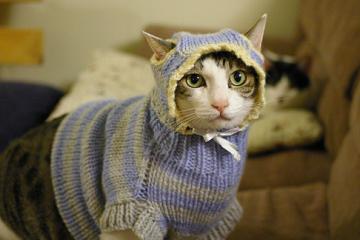 世俱杯时间-拉梅洛魔法席卷全球，独行侠强势晋级映照新疆队坚韧之路