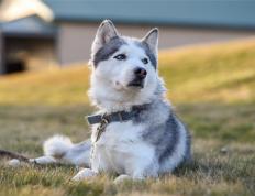 世俱杯赛程-保罗独舞，山西击溃上海，悬念早逝