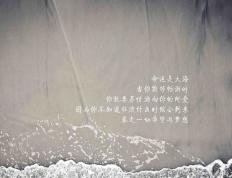 世俱杯赛程-无解东契奇，当猛龙双翼遮天蔽日，他一人撕碎了灰熊的钢铁洪流