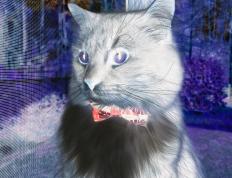 世俱杯改制-撕裂夜幕的一击，小贾伦致命三分与公牛的战术密码