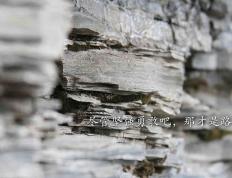 世俱杯-喀麦隆对阵拜仁，格列兹曼，硬仗之王的孤独加冕