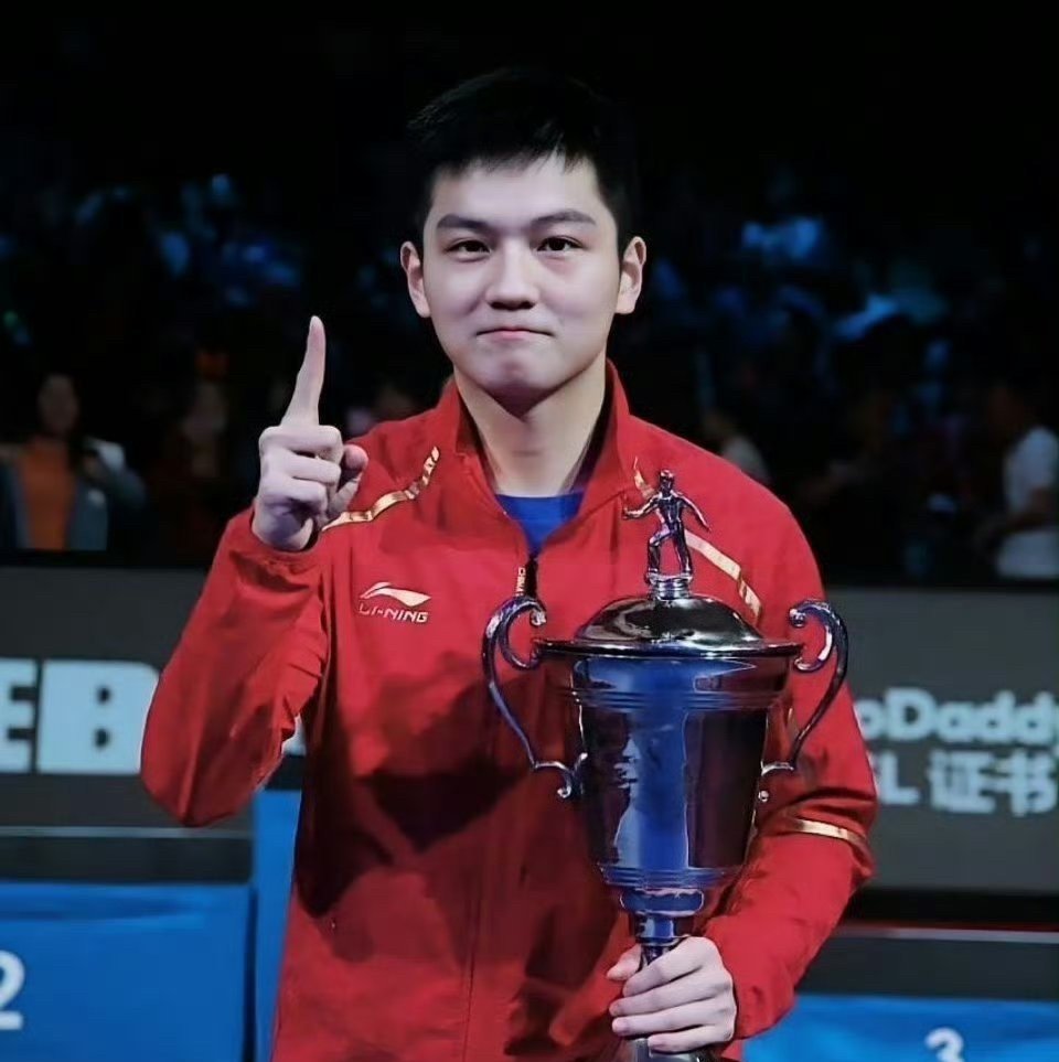 世俱杯赛程-德国乒乓球队轻取法国乒乓球队，王皓高光表现的简单介绍