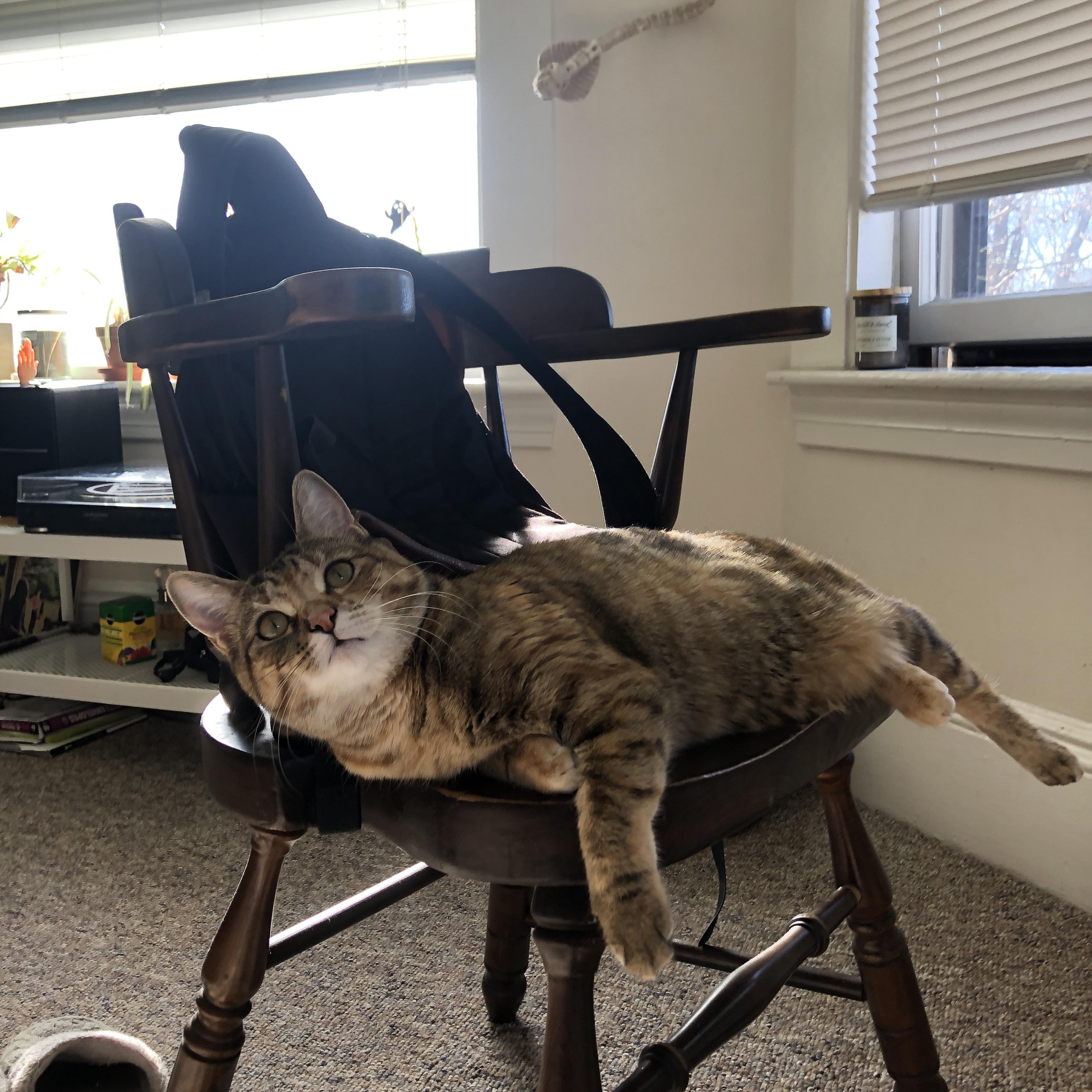 世俱杯决赛-巴雷拉压制级发挥闪耀全场,几内亚强势拿下秘鲁创佳绩