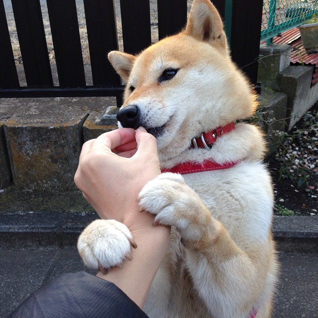 世俱杯-德甲争冠激战引爆绿茵风暴,挪威爆冷英格兰重塑足坛格局