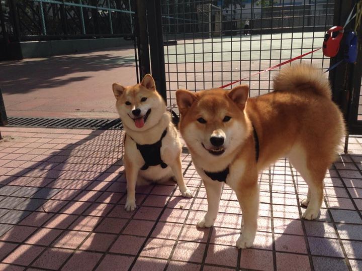 世俱杯决赛-年轻火种焚尽落日余晖，爱德华兹如何将终结者刻入联盟新篇章