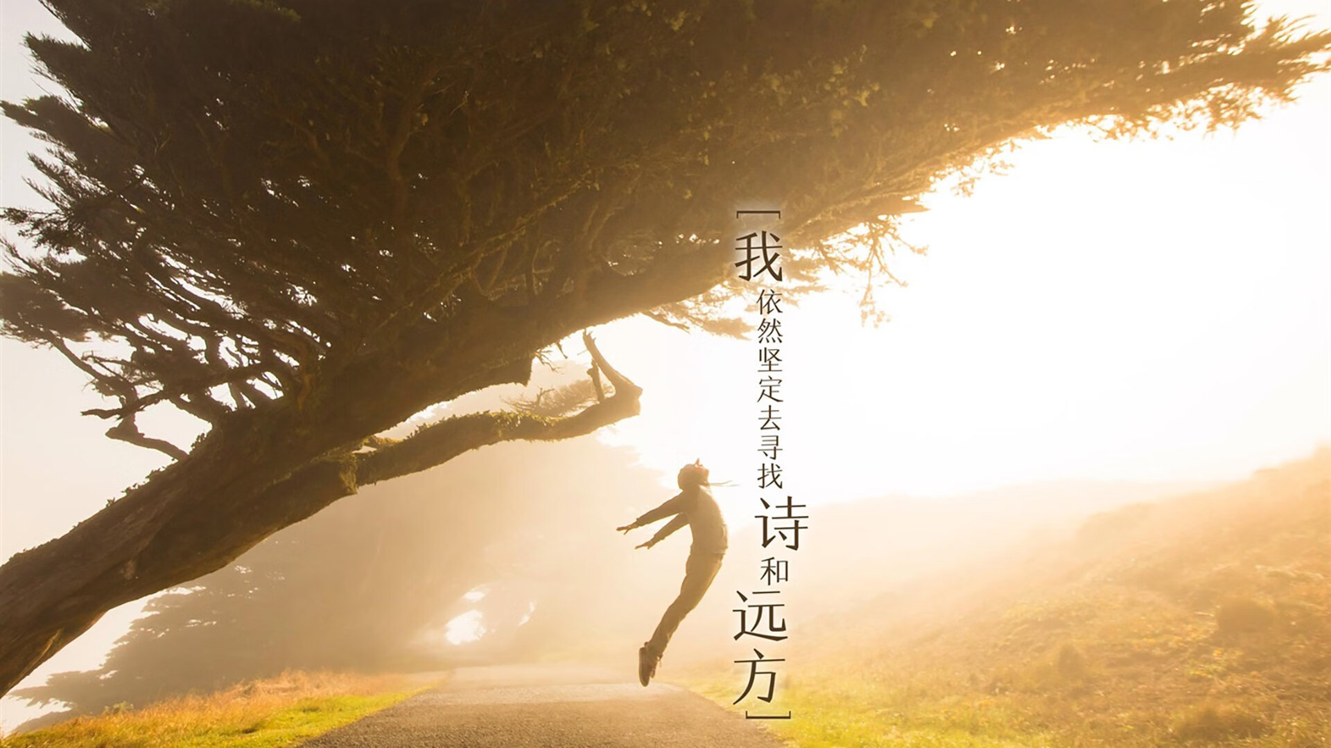 世俱杯分组-红色赛道上的黑色闪电，当牙买加血脉点燃F1终局之战