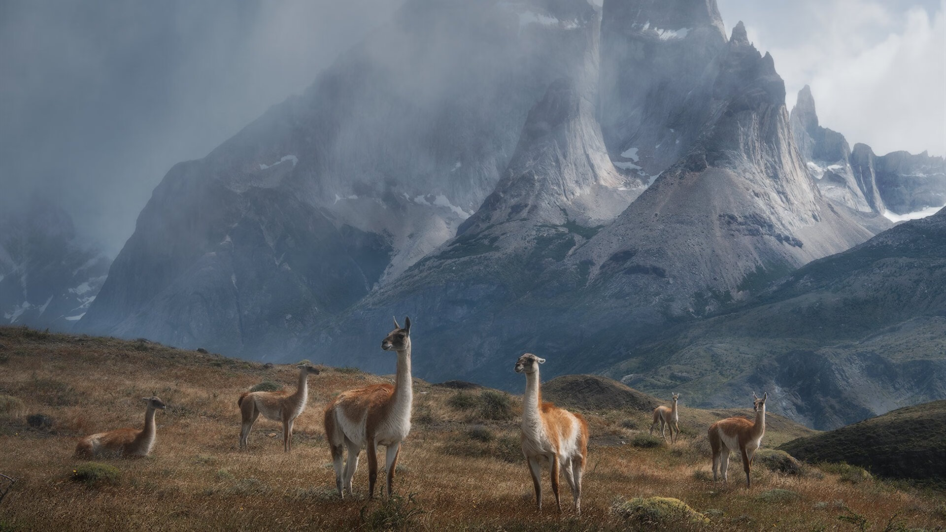 世俱杯分组-红色赛道上的黑色闪电，当牙买加血脉点燃F1终局之战