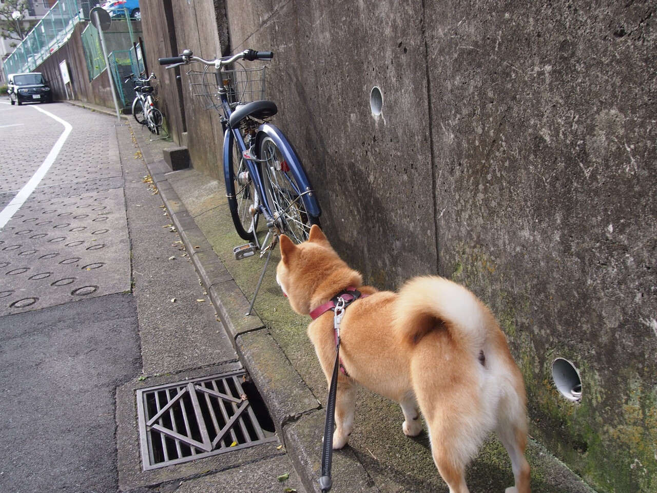 世俱杯分组-拉文生涯之夜狂砍55分！雷霆主场加时惜败奇才