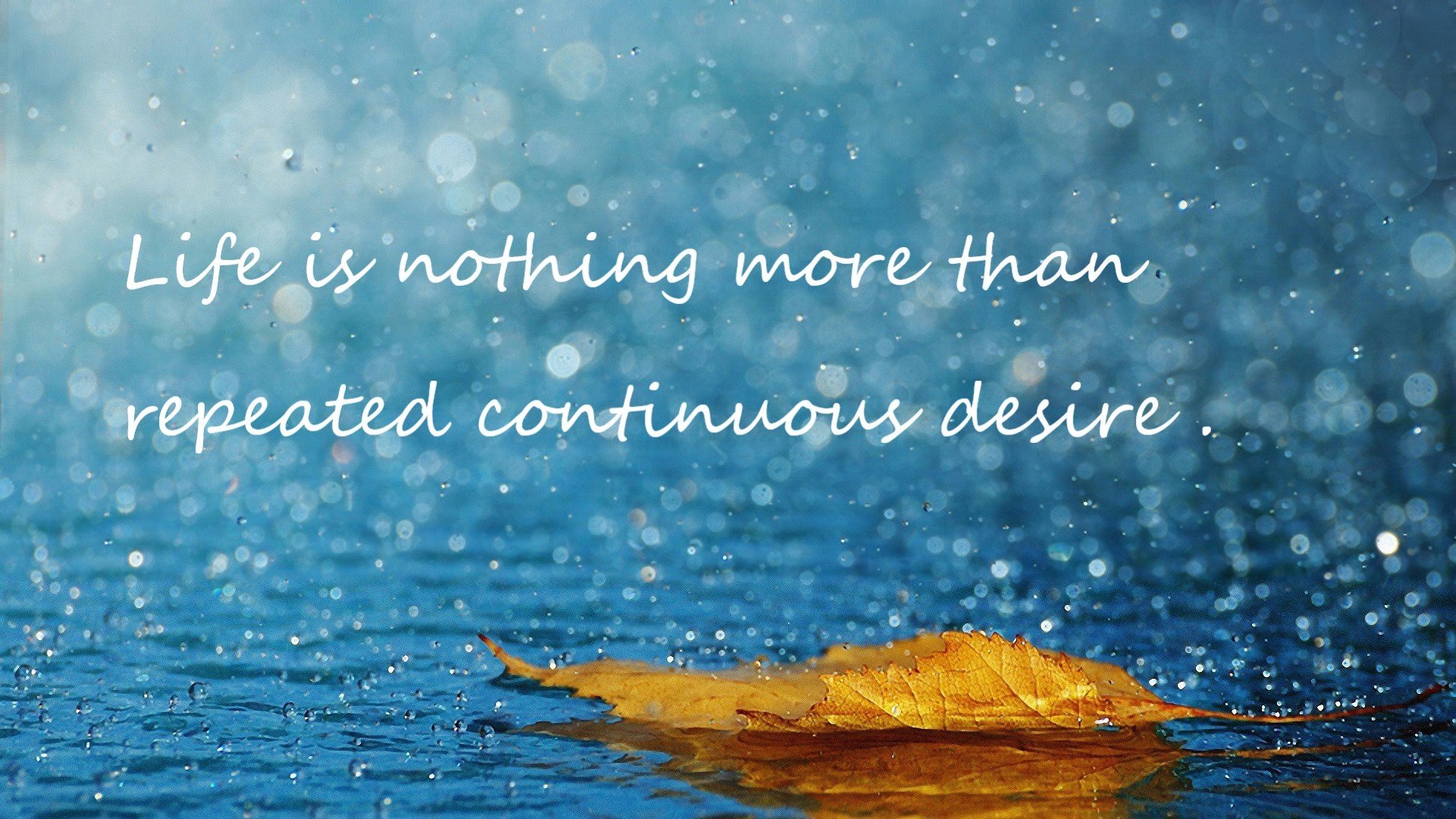 世俱杯直播-绿茵场上的篮球智慧，当欧冠半决赛遇见一波带走的哲学