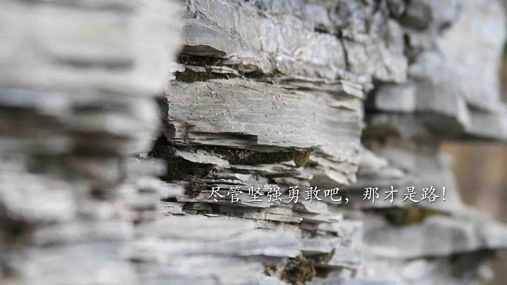 世俱杯-喀麦隆对阵拜仁,格列兹曼,硬仗之王的孤独加冕